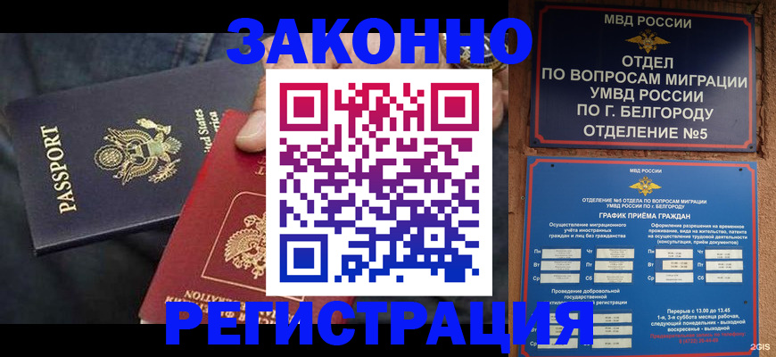 прописка законно в Болотном